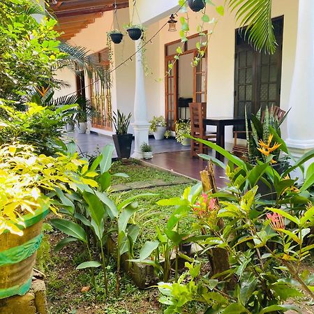 Fairview Dill Homestay Sigiriya Ngoại thất bức ảnh