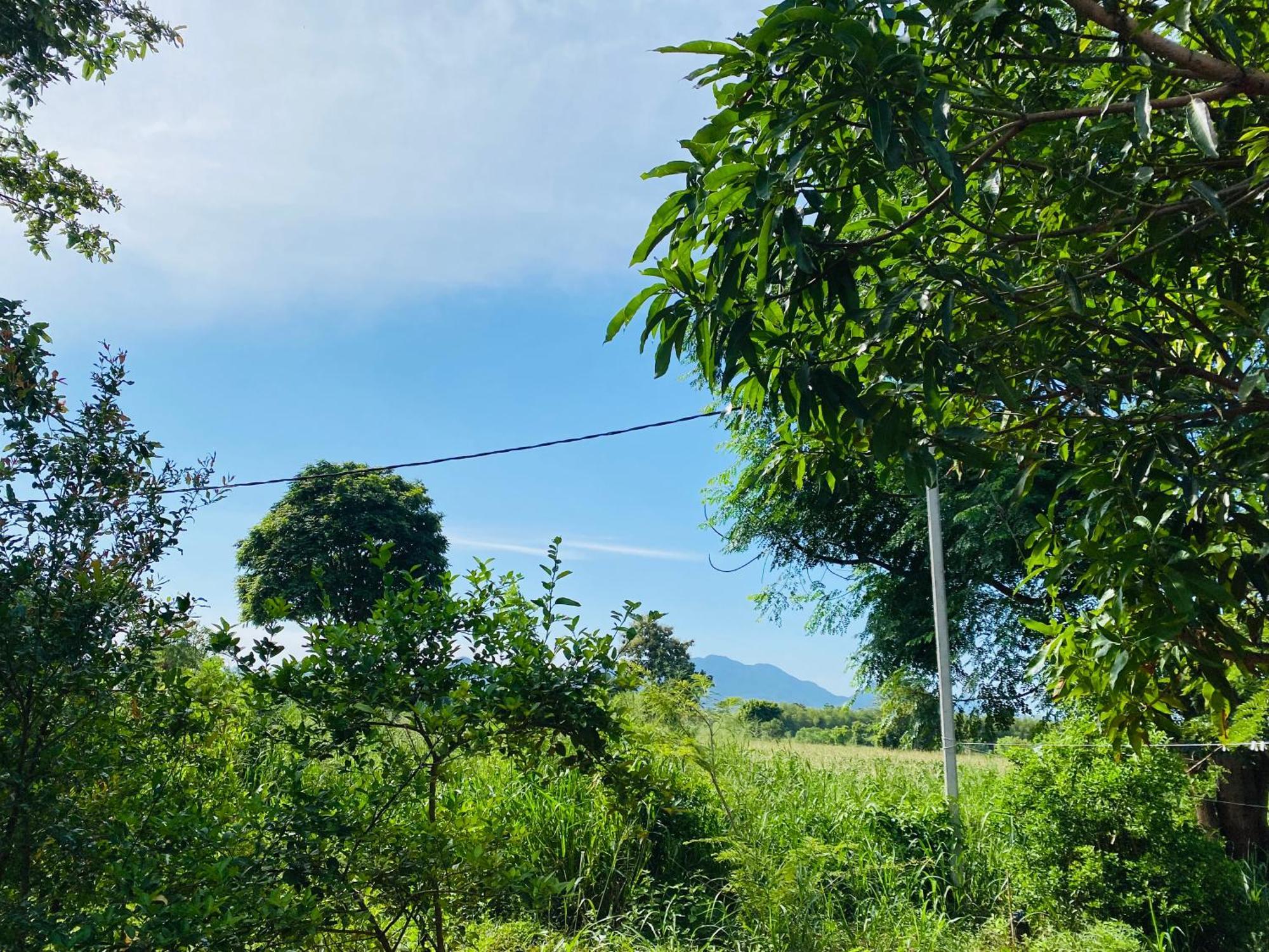 Fairview Dill Homestay Sigiriya Ngoại thất bức ảnh