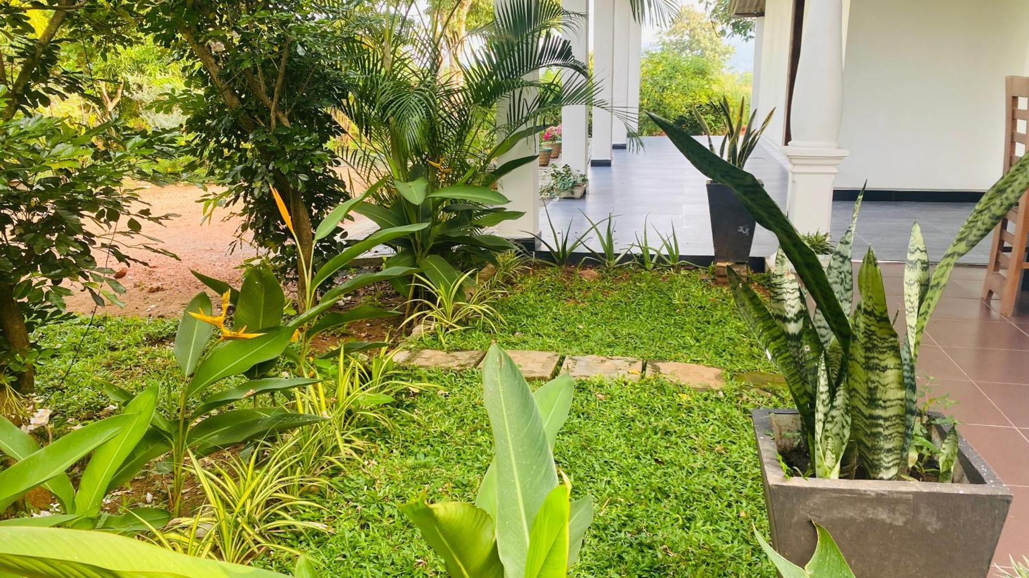 Fairview Dill Homestay Sigiriya Ngoại thất bức ảnh