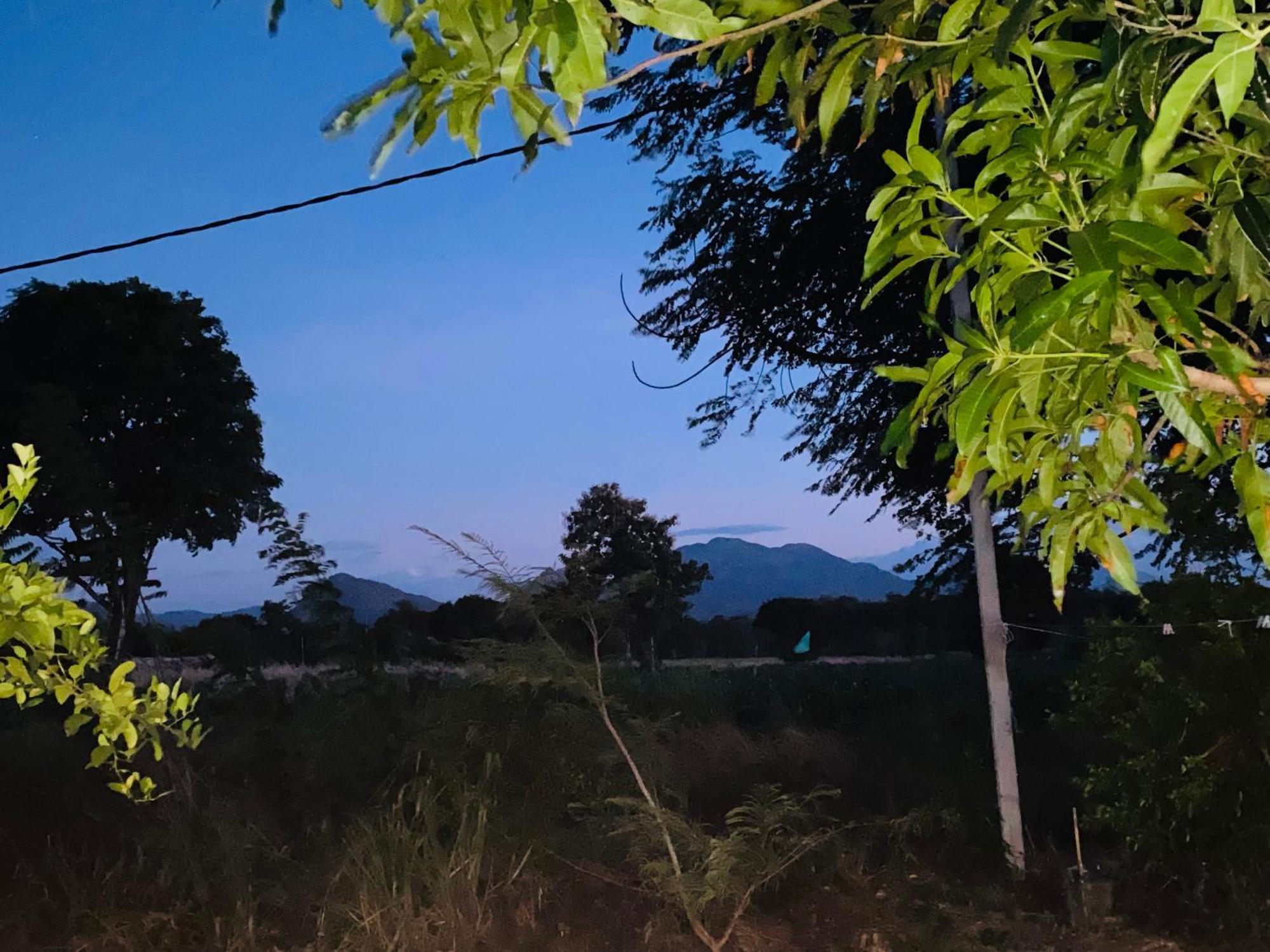 Fairview Dill Homestay Sigiriya Ngoại thất bức ảnh