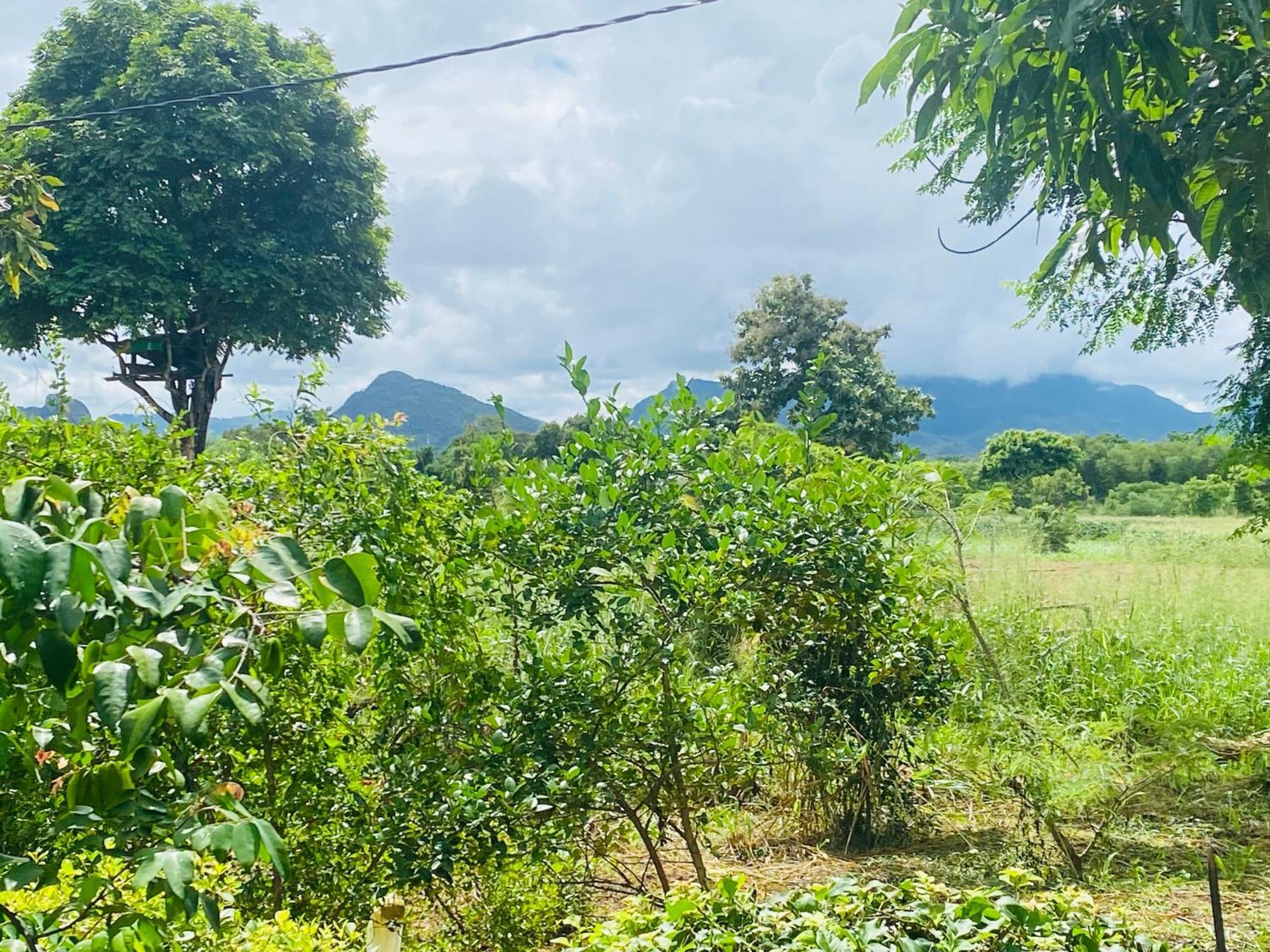 Fairview Dill Homestay Sigiriya Ngoại thất bức ảnh