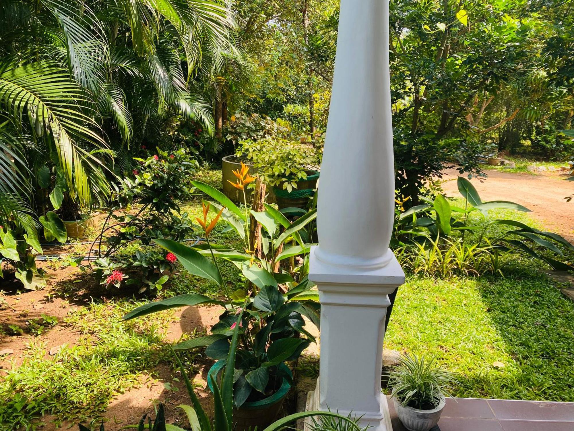Fairview Dill Homestay Sigiriya Ngoại thất bức ảnh
