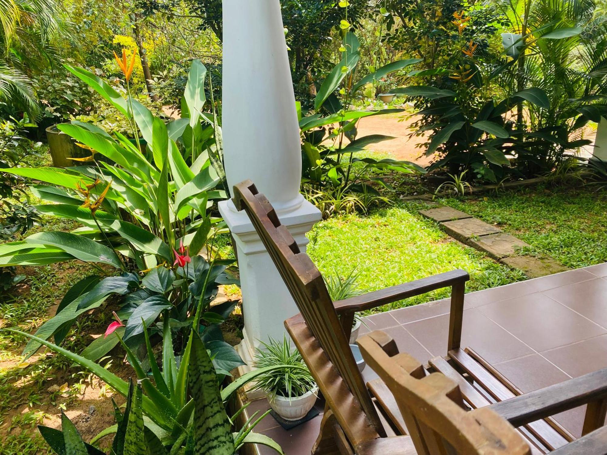 Fairview Dill Homestay Sigiriya Ngoại thất bức ảnh
