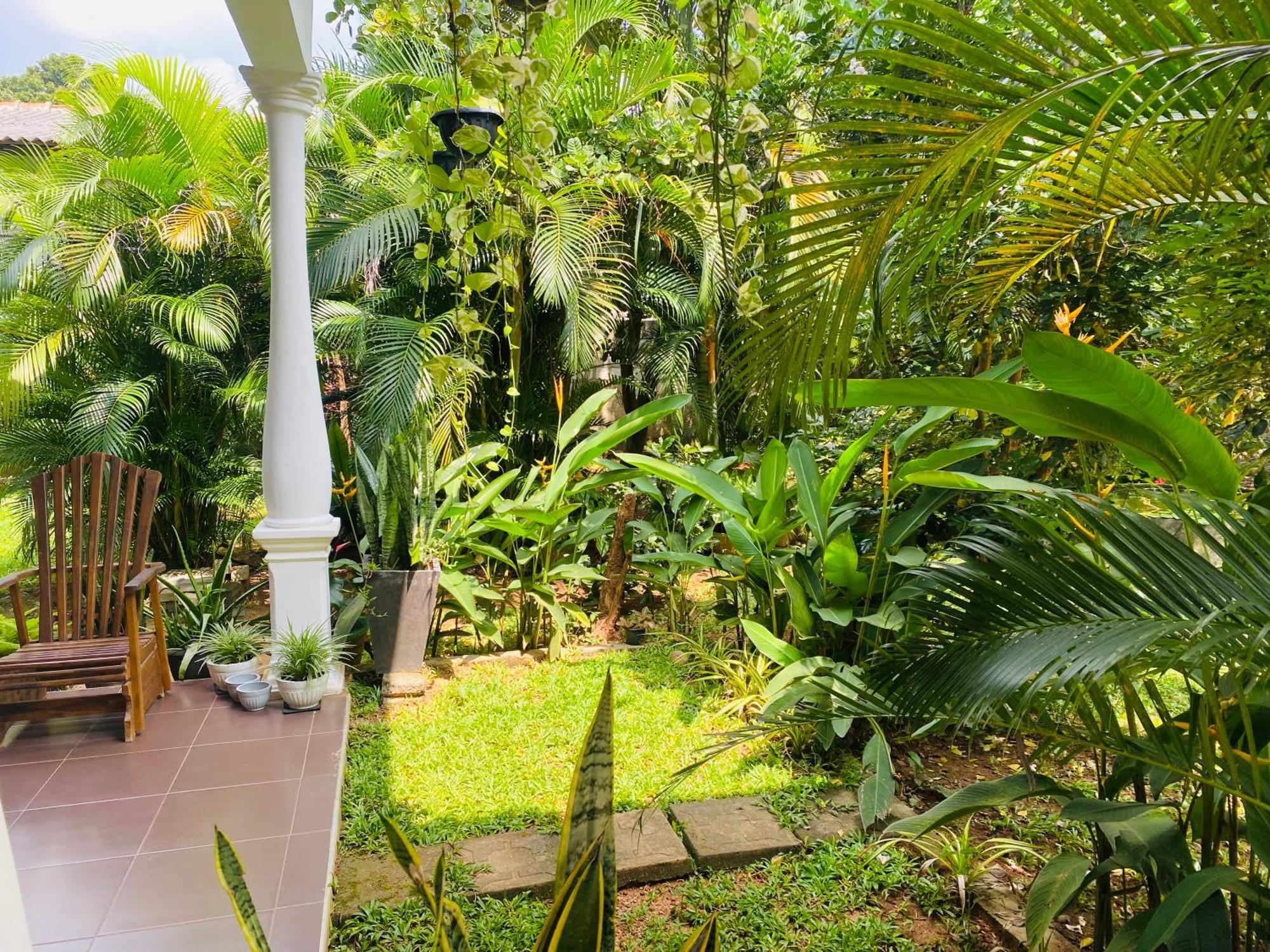Fairview Dill Homestay Sigiriya Ngoại thất bức ảnh