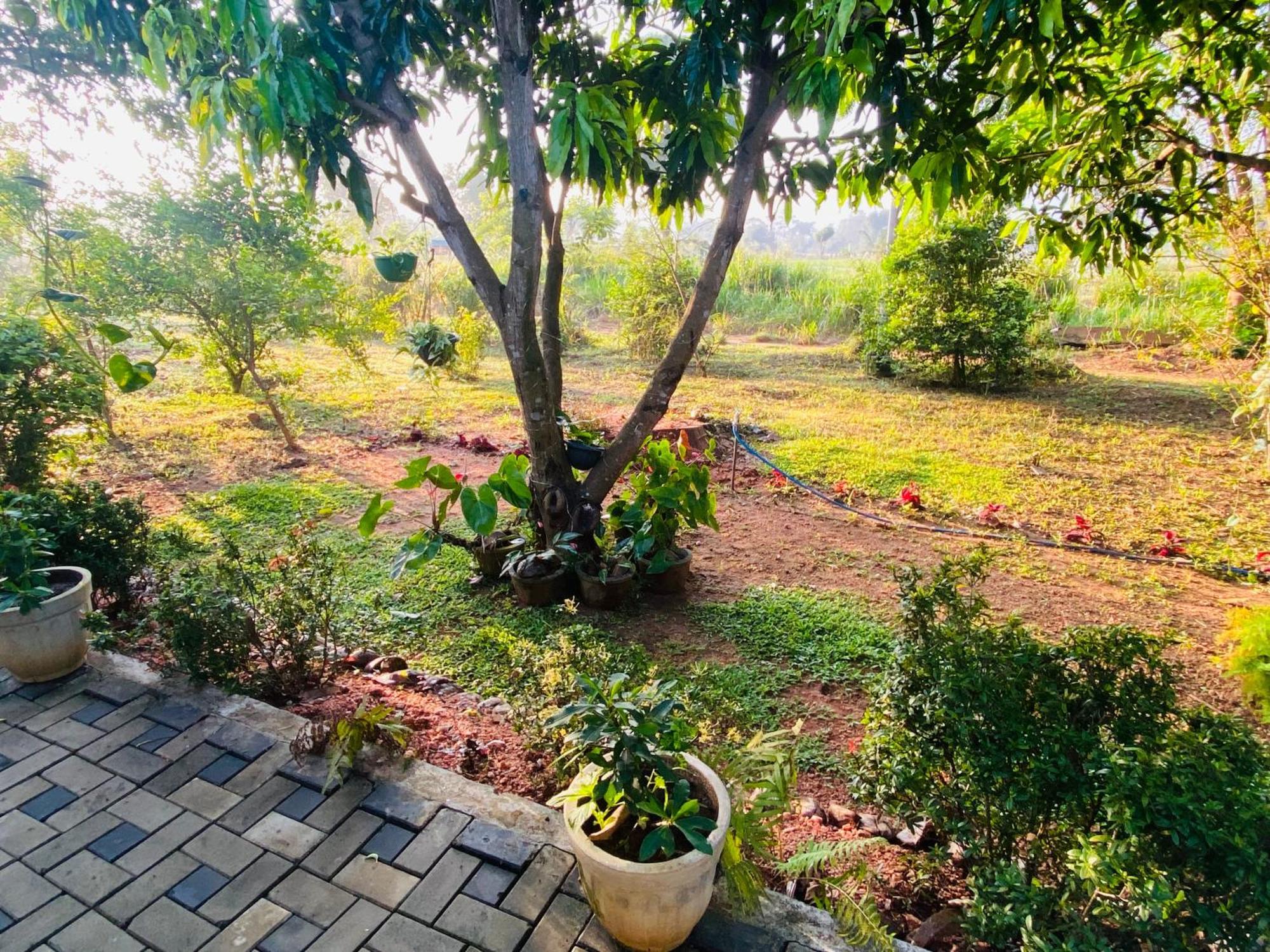Fairview Dill Homestay Sigiriya Ngoại thất bức ảnh